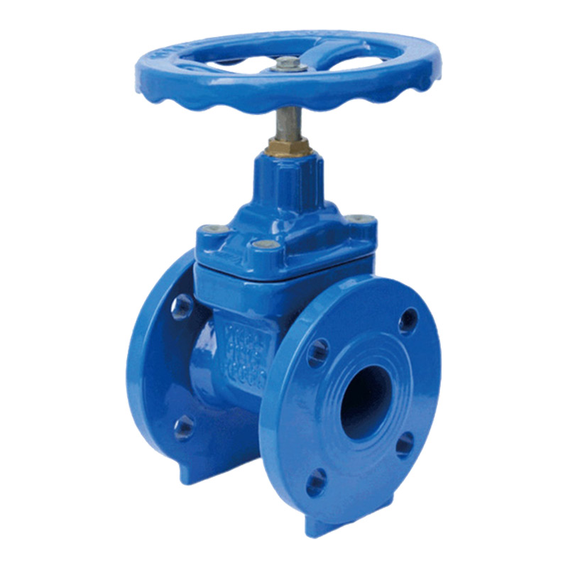 Seated Gate Valve